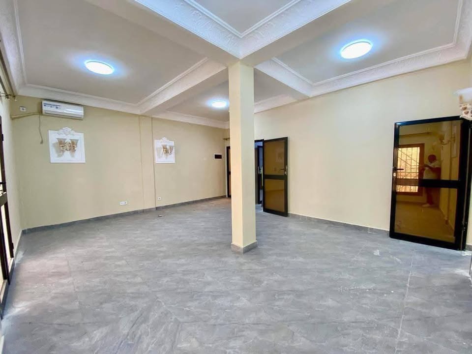 Appartement 2 chambres Ngaliema